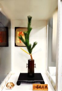 正月元旦は若松をいける