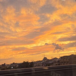秋の夕暮れ🌇